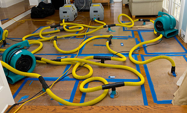Professional Crawl Space Water Removal technician working in Boring, OR